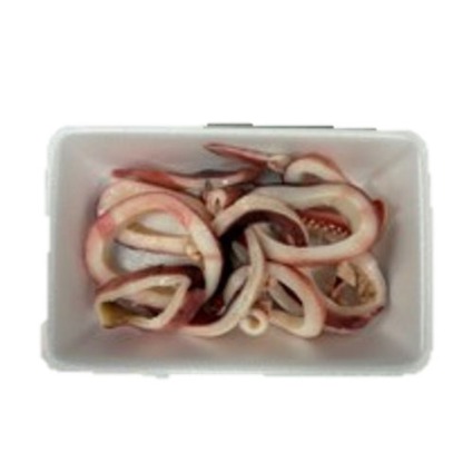 釜ゆでイカ（小）