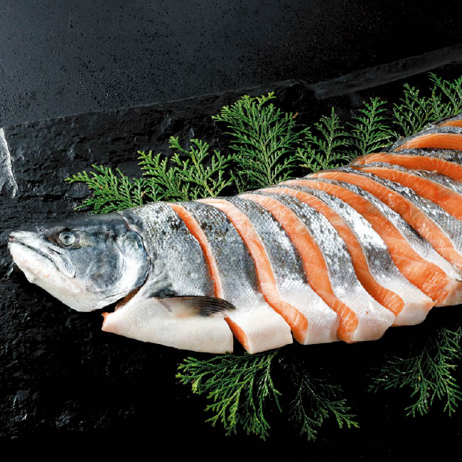 「漁吉丸」船上活〆さくらます半身姿切身（0.8kg）