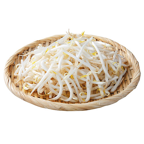 緑豆もやし
