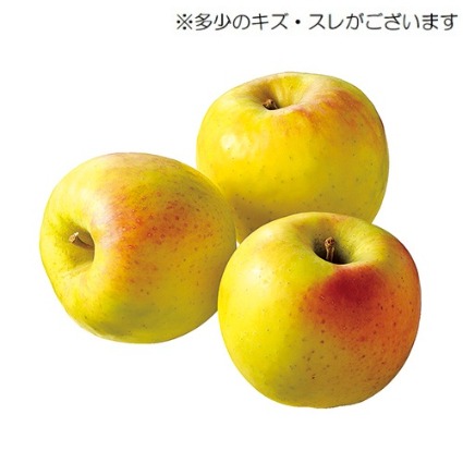 恵まるごとぐんま名月りんご　大袋