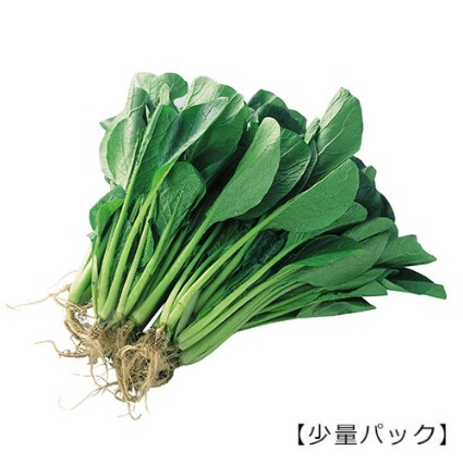 小松菜　小袋 群馬県産他