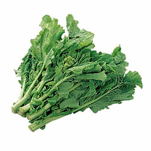 御子神さんのなばな