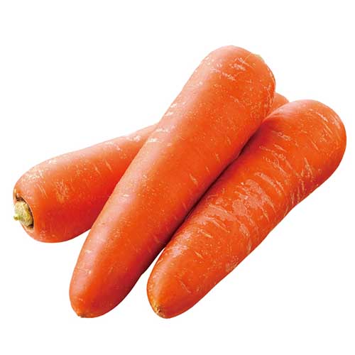 フルーツ人参（アロマレッド）