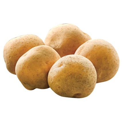 じゃが芋（きたかむい）袋