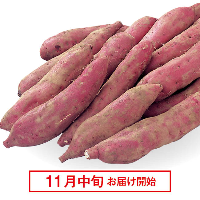 林さんの川越いも（紅赤種）