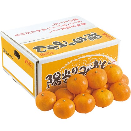 陽当りみかん　Ｍ２．５ｋ