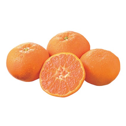 青島（三ヶ日マルマ）みかん　大