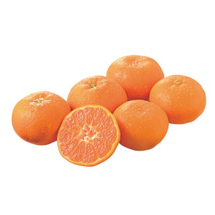 青島（三ヶ日マルマ）みかん　中