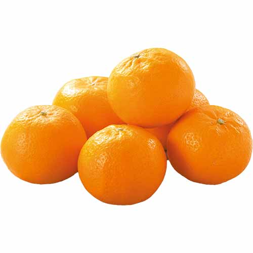 片山みかん（中）