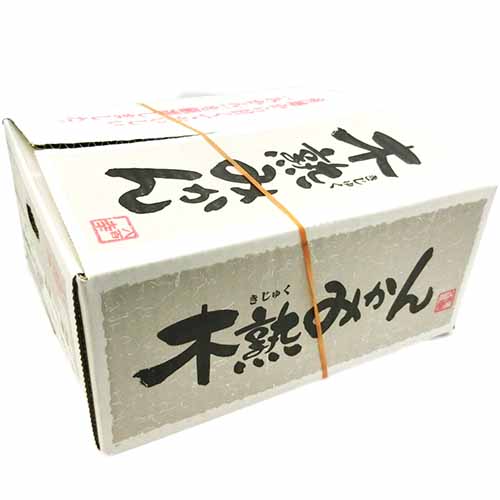 木熟みかん　Ｌ４ｋ