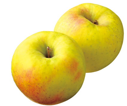 ぐんま名月りんご　大袋