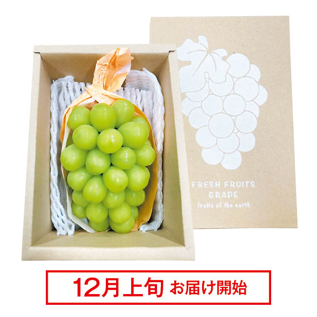 シャインマスカット　1房化粧箱