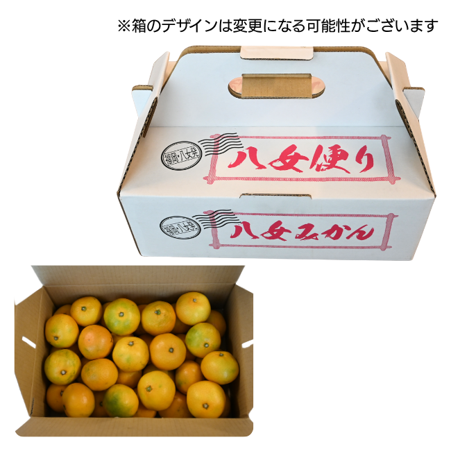 にしおかみかん　2.8kg箱