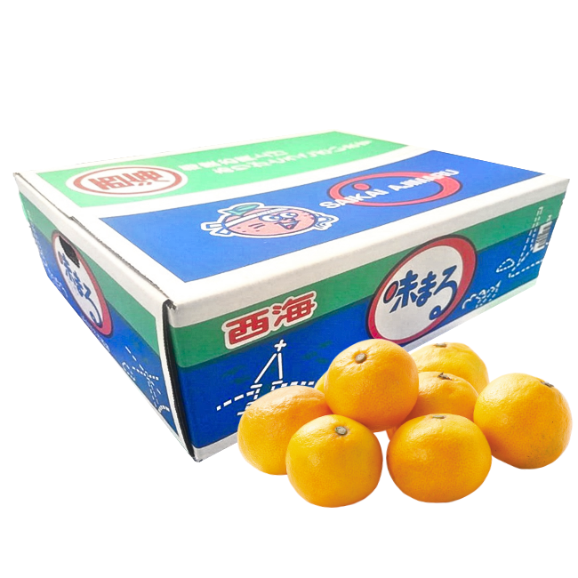 味まるみかん　4.5kg