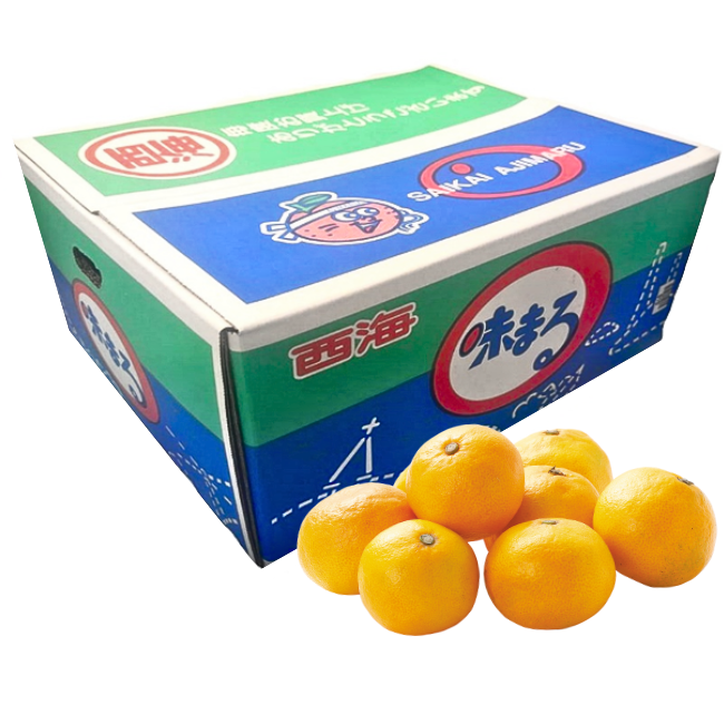 味まるみかん　9.5kg