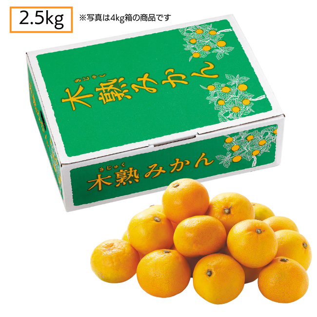 木熟みかん（自家消費用）2.5kg
