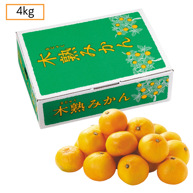 木熟みかん（自家消費用）4kg