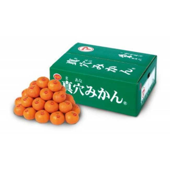 JAにしうわ真穴　みかん4.5kg箱