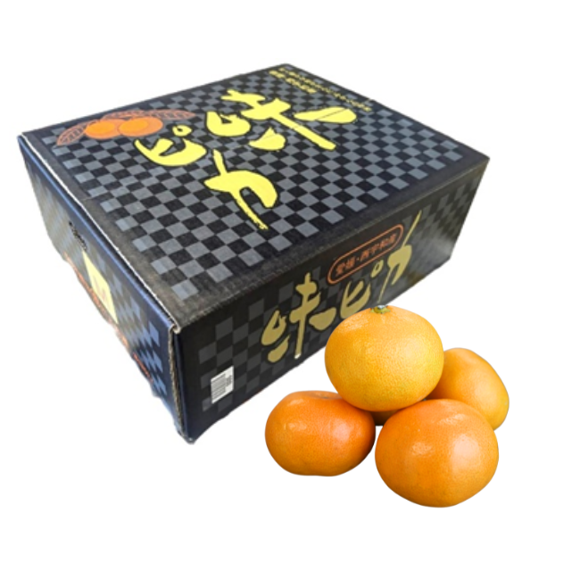 JAにしうわ川上　味ピカみかん4.5kg箱