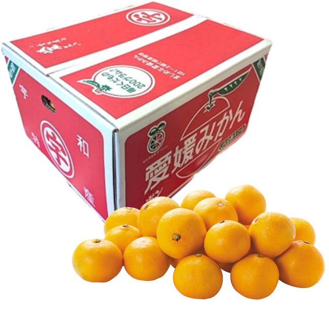 JAえひめ南　うわの赤箱みかん9.5kg箱