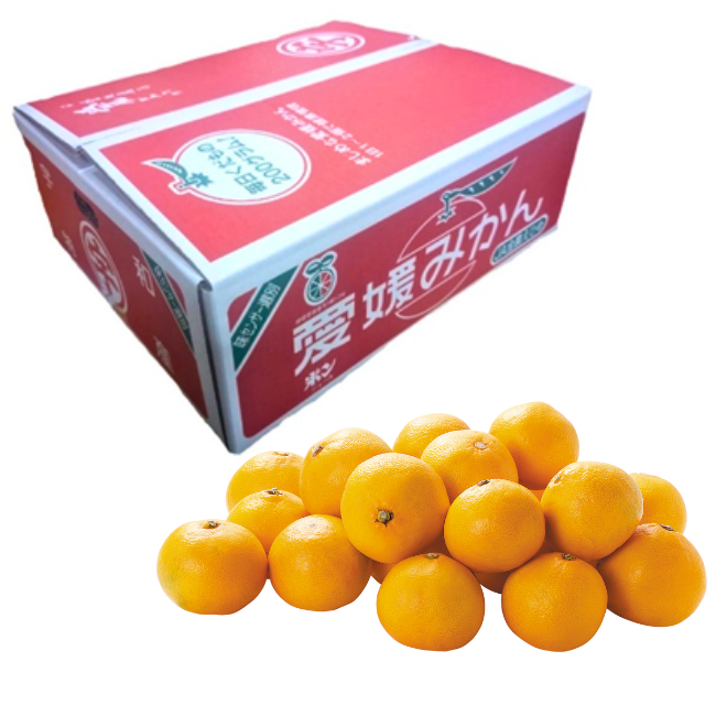 JAえひめ南　うわの赤箱みかん4.5kg箱