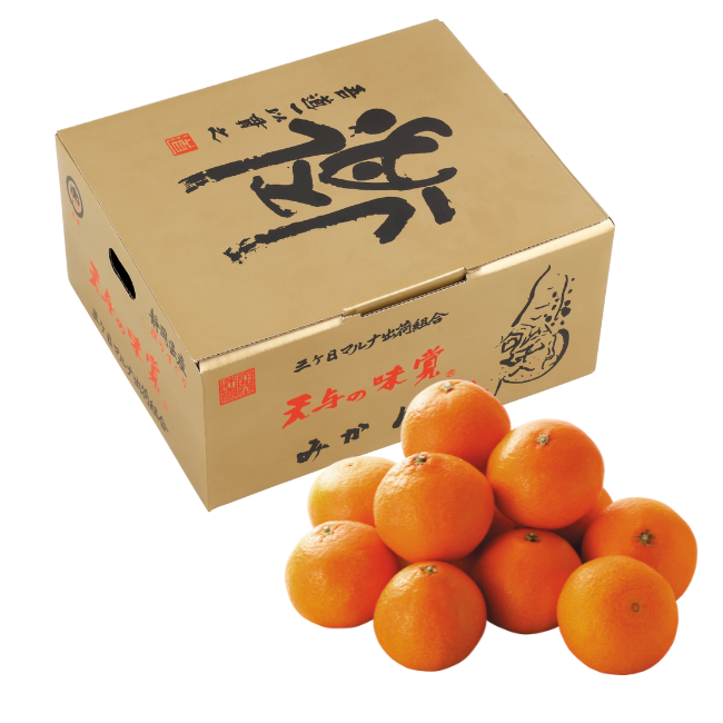 Ktaさん ご予約商品 三ケ日マルナ出荷組合 天与の味覚みかん2.5kg箱｜ヤオコー予約＆ギフト