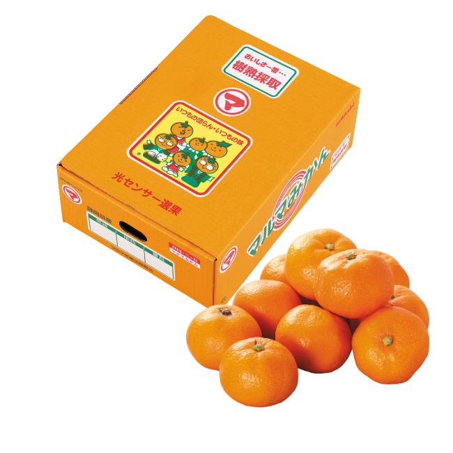 JAにしうわみつる 蜜るみかん 3.5kg箱｜ヤオコー予約＆ギフト