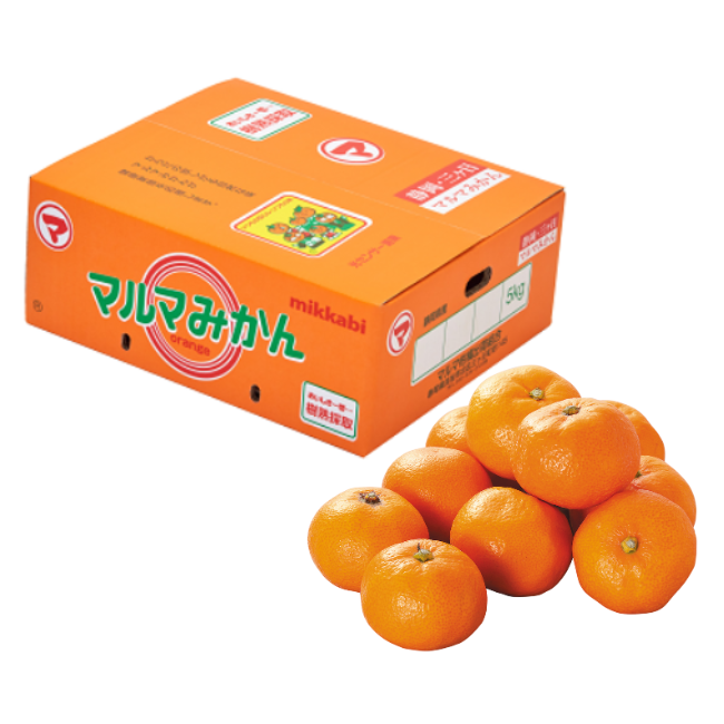マルマ柑橘出荷組合 樹熟採取みかん9.5kg箱｜ヤオコー予約＆ギフト