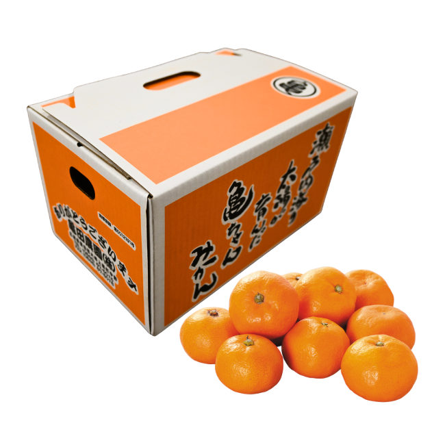 亀ちゃんみかん 2.5kg箱｜ヤオコー予約＆ギフト
