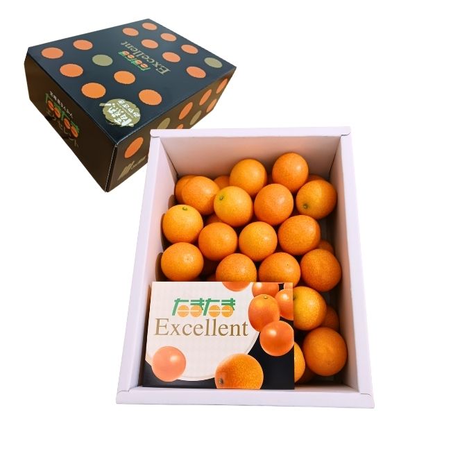 まるかじり金柑 エクセレント化粧箱