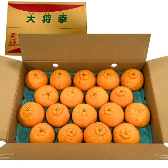 大将季（デコポン）5kg