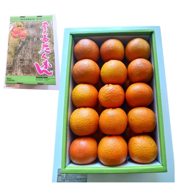 屋久島　たんかん　箱