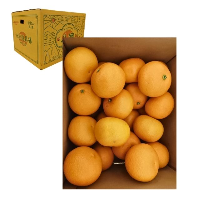 木成りはっさく