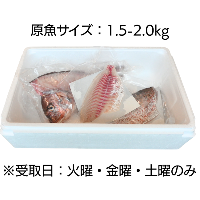 こだわりの今朝〆真鯛（養殖）　3枚卸し詰合せ