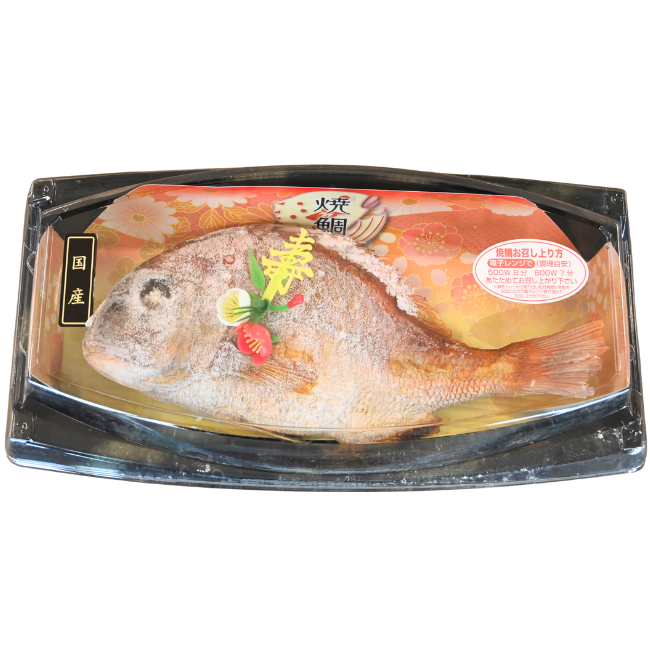 お祝い用　国産焼鯛