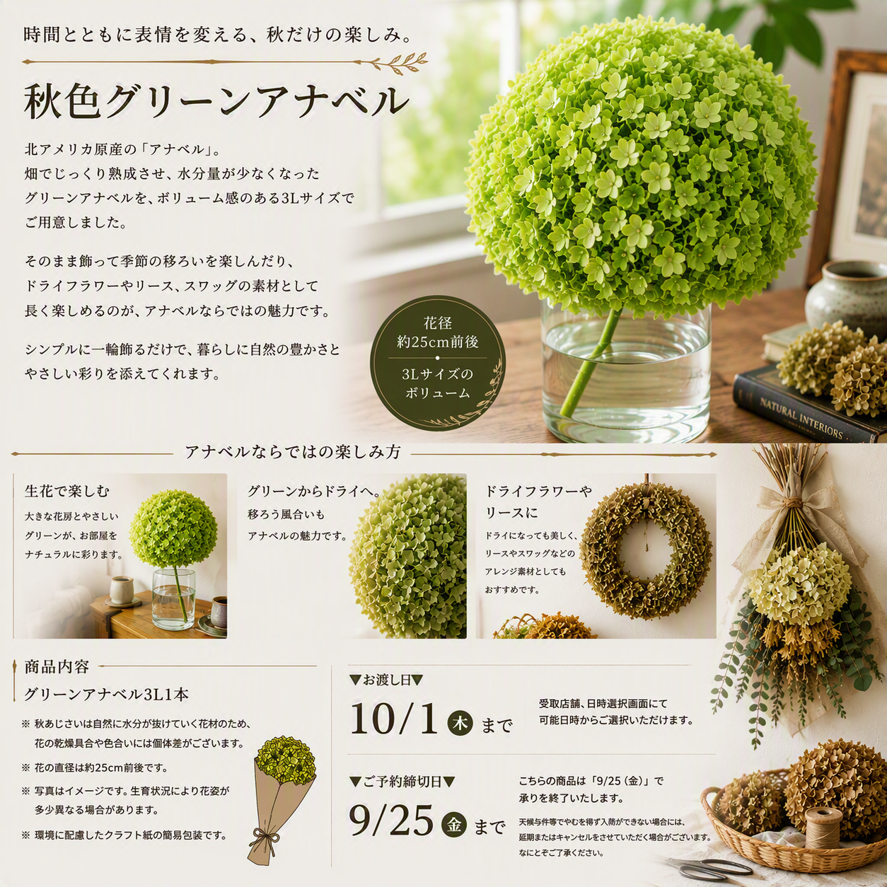 https://ya-dcs1-pd-apn1-pd-all.s3-ap-northeast-1.amazonaws.com/item_images/KP202620/20260915160100description_image_top.png