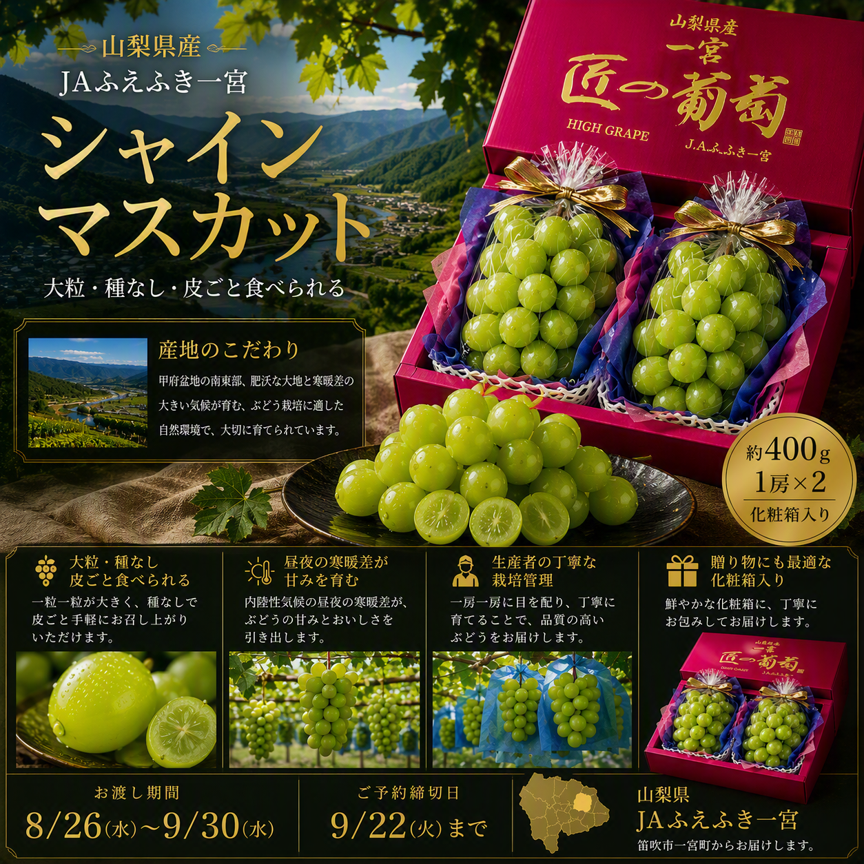 https://ya-dcs1-pd-apn1-pd-all.s3-ap-northeast-1.amazonaws.com/item_images/KP202621/20260824115008description_image_top.png