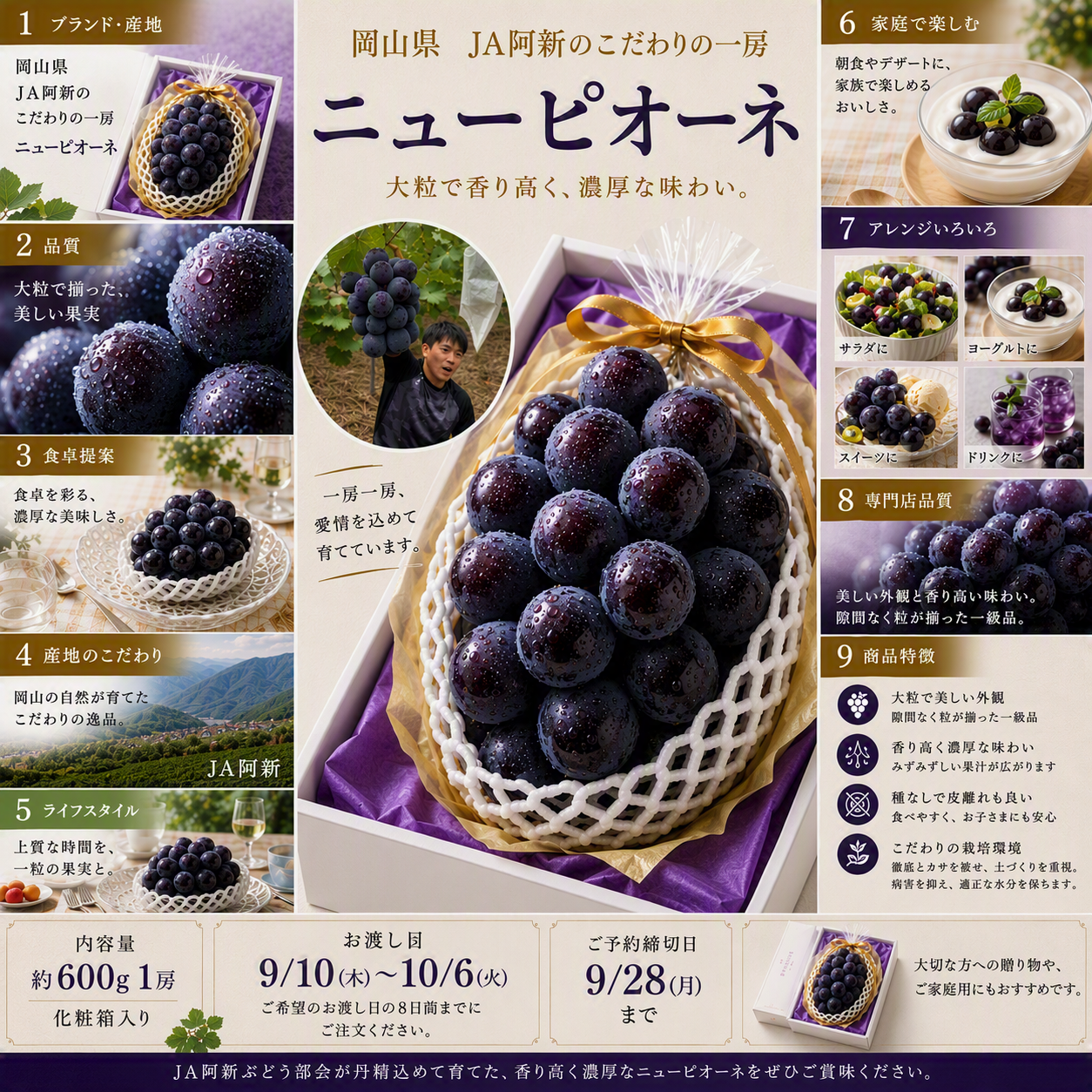 岡山県JA阿新産のニューピオーネ 1房化粧箱｜ヤオコー予約＆ギフト