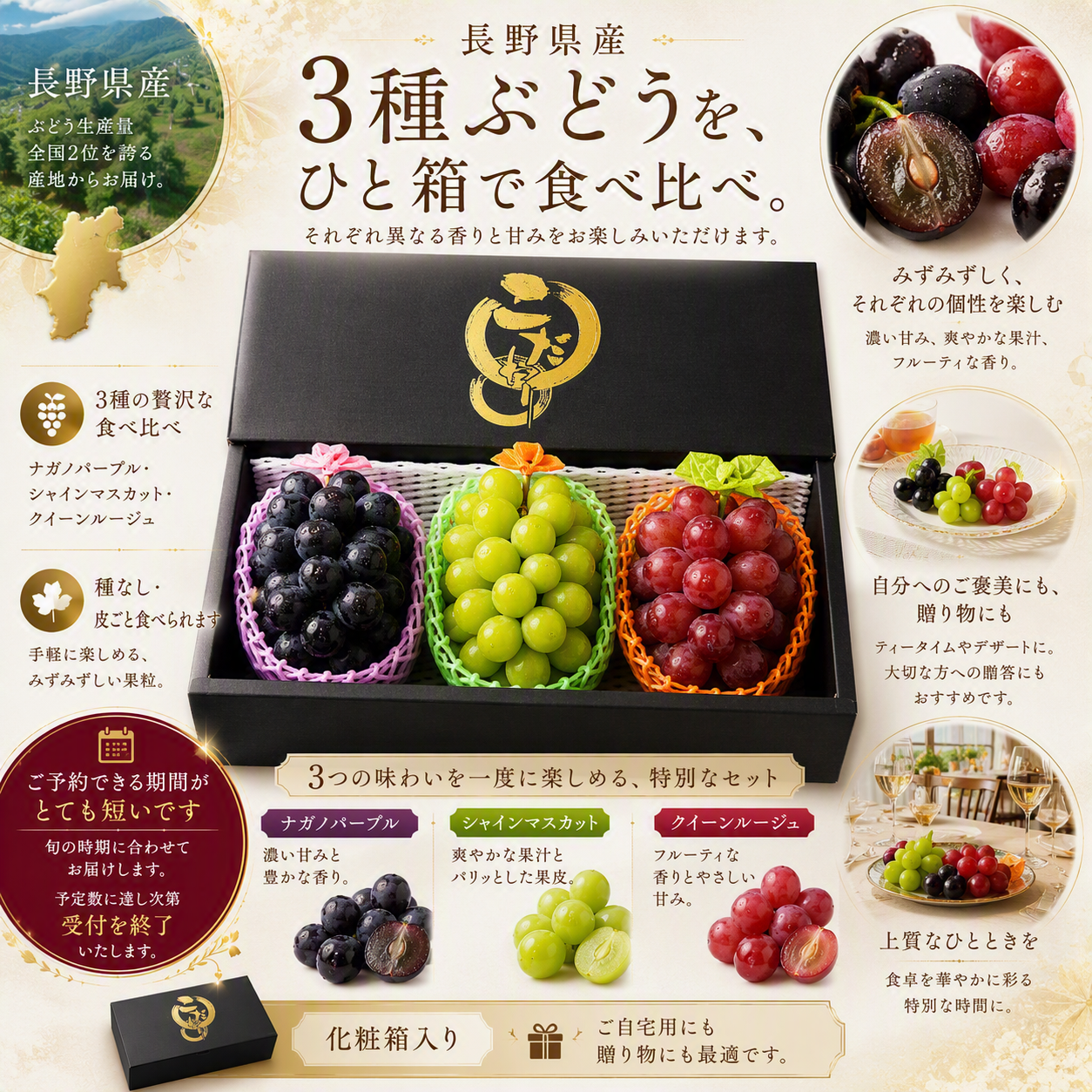 https://ya-dcs1-pd-apn1-pd-all.s3-ap-northeast-1.amazonaws.com/item_images/KP202621/20260908144459description_image_top.png