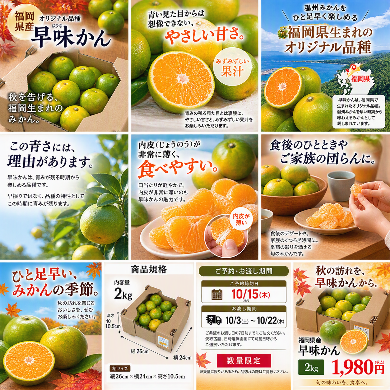 https://ya-dcs1-pd-apn1-pd-all.s3-ap-northeast-1.amazonaws.com/item_images/KP202621/20260925173730description_image_top.png
