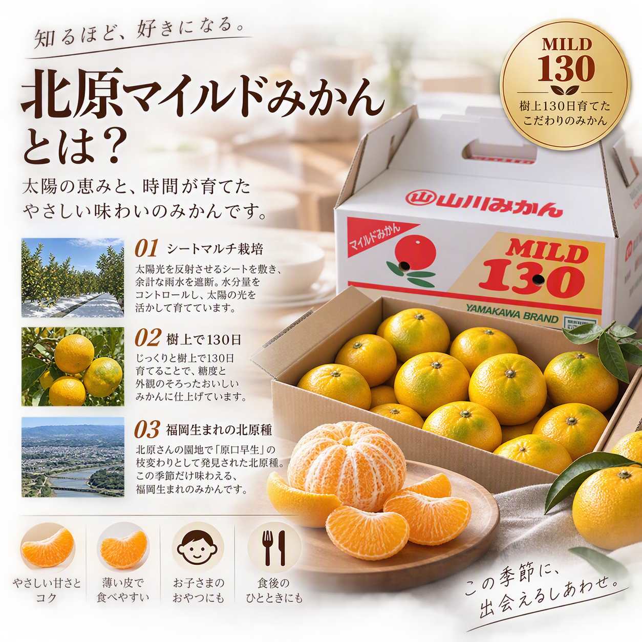 https://ya-dcs1-pd-apn1-pd-all.s3-ap-northeast-1.amazonaws.com/item_images/KP202621/20261013134308description_image_top.png
