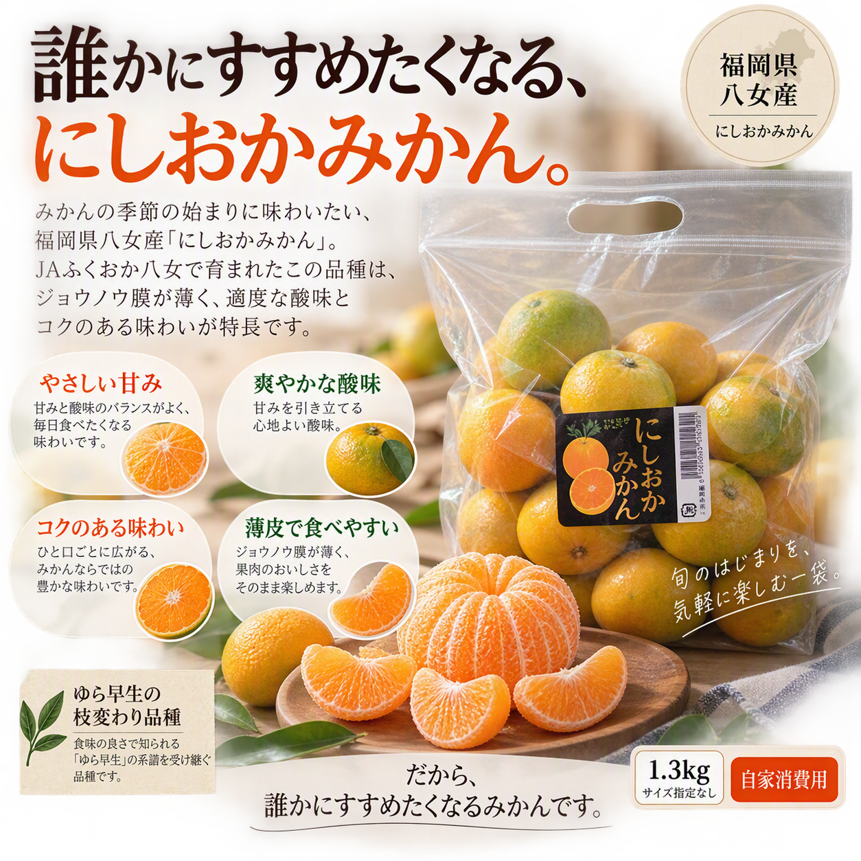 https://ya-dcs1-pd-apn1-pd-all.s3-ap-northeast-1.amazonaws.com/item_images/KP202621/20261013135354description_image_top.png