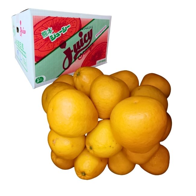 ジューシーオレンジ（河内晩柑）