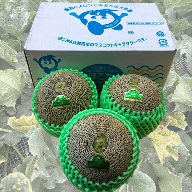 茨城県産　4Lイバラキングメロン 5kg箱