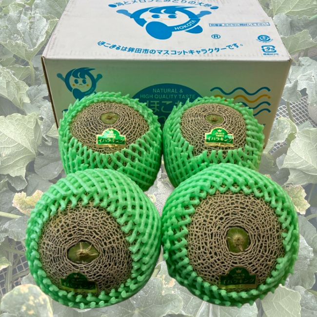 茨城県産　3Lイバラキングメロン 5kg箱