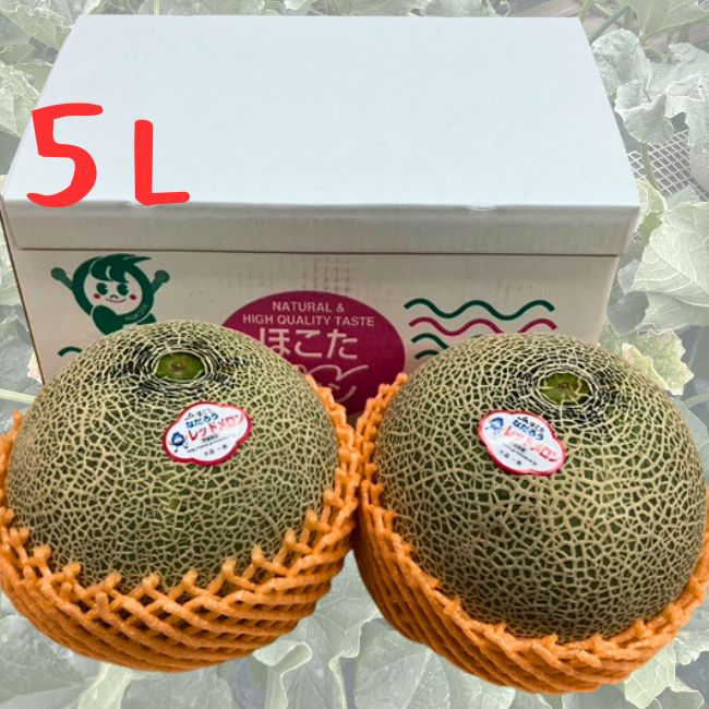 茨城県産　5L大玉なだろうレッドメロン 2玉箱