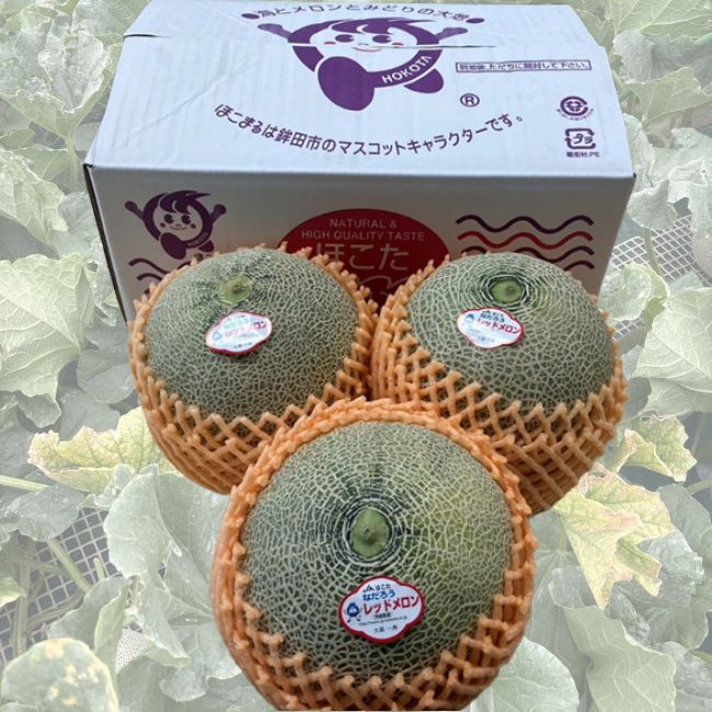 茨城県産　4Lなだろうレッドメロン 5kg箱