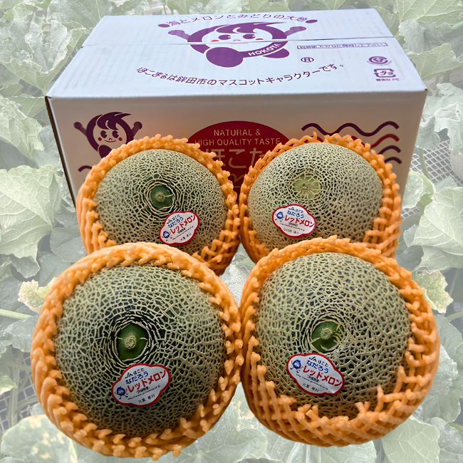 茨城県産　3Lなだろうレッドメロン 5kg箱