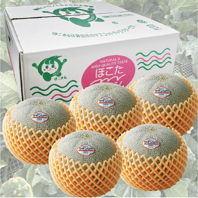 JAほこた クインシーメロン（5玉）