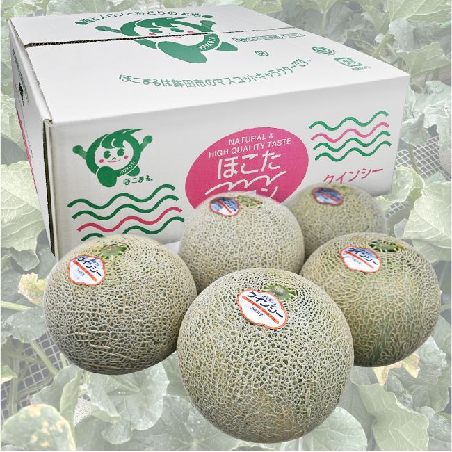 JAほこた クインシーメロン（自家消費用）